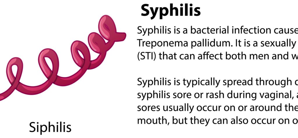 How Syphilis transmitted into human body